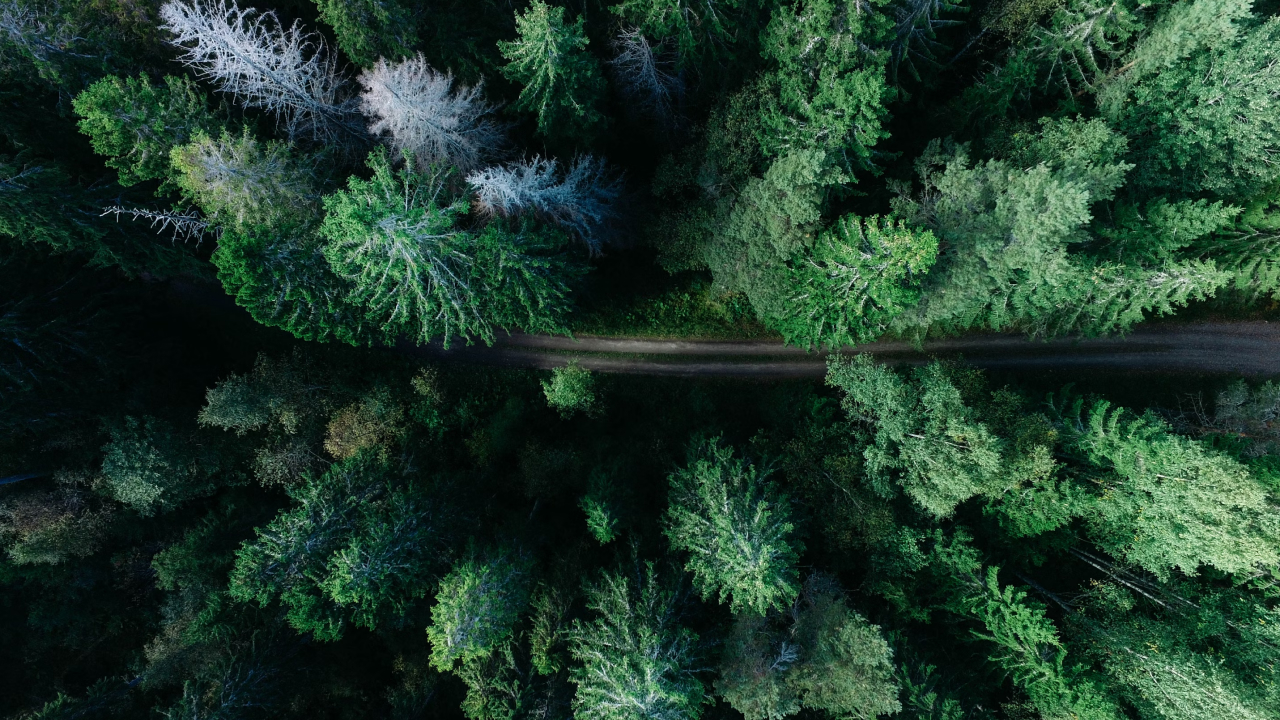 High-integrity carbon credits.
Higher impact.