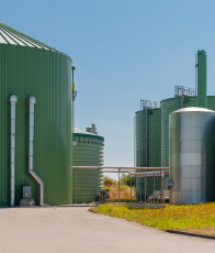 Biomass