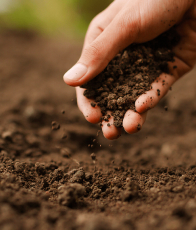 Sustainable Agriculture Land Management