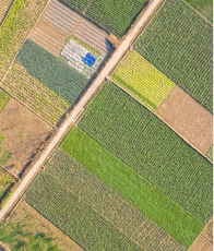 Agroforestry