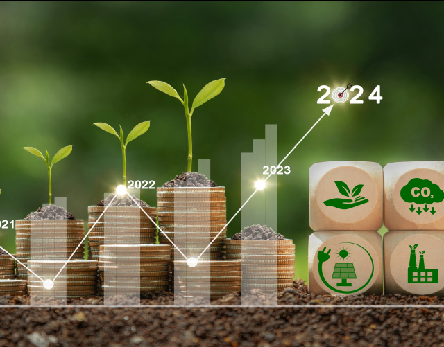 Monetise carbon credits